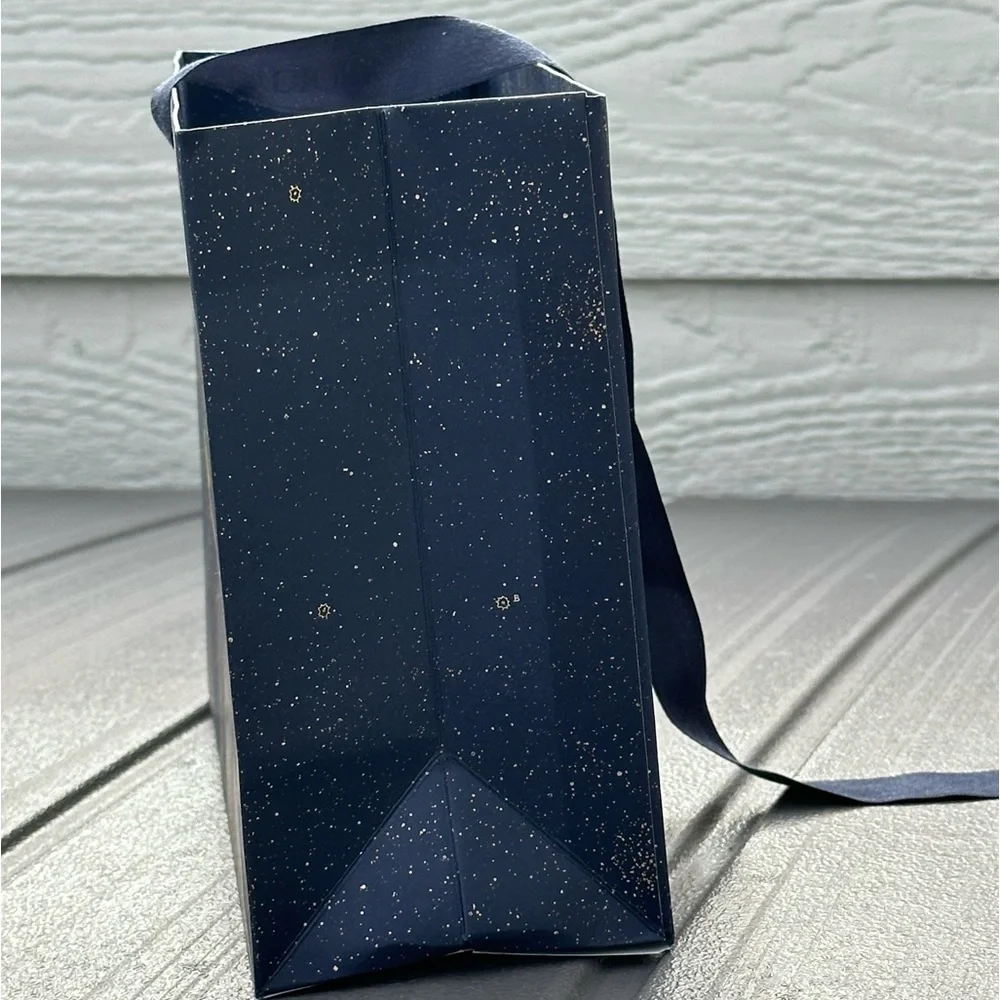 Authentic Dior Noel gift bag